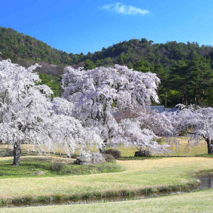 Heiankyo - Kyoto, Giappone