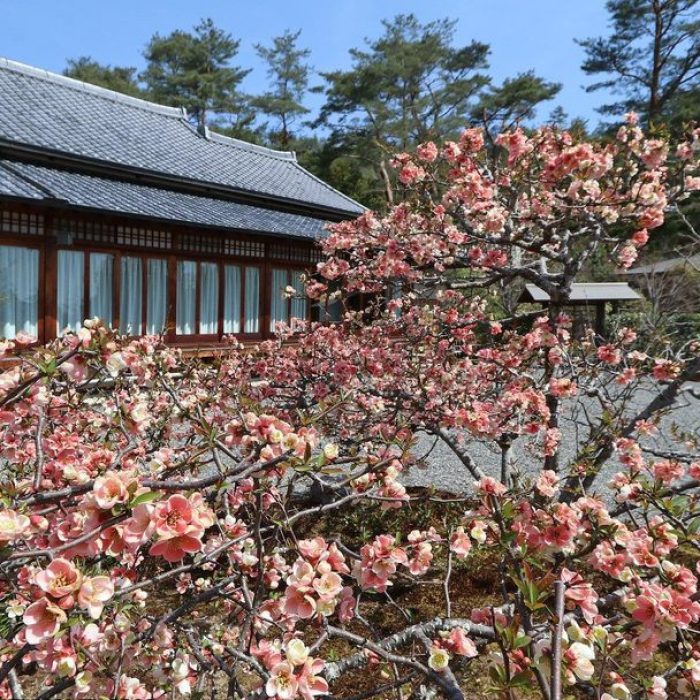 Heiankyo - Kyoto, Giappone