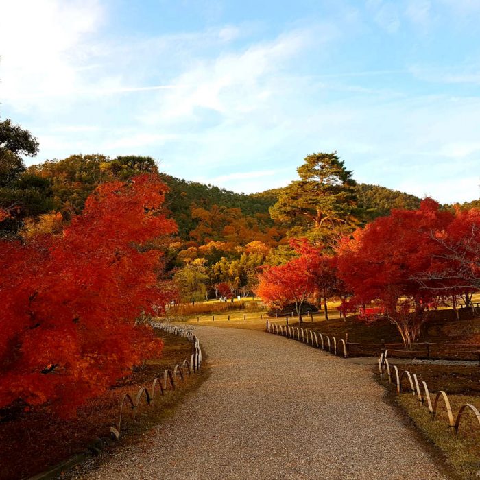 Heiankyo - Kyoto, Giappone