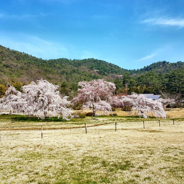 Heiankyo - Kyoto, Giappone