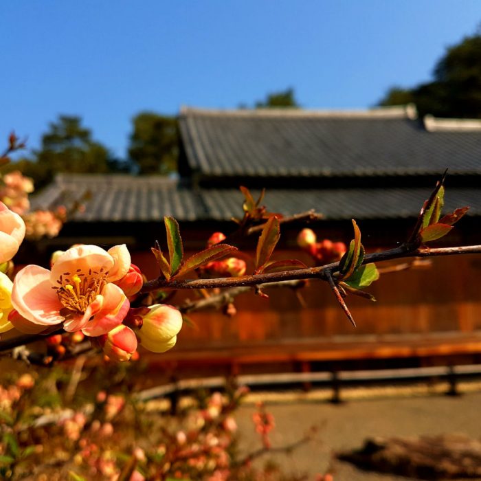 Heiankyo - Kyoto, Giappone