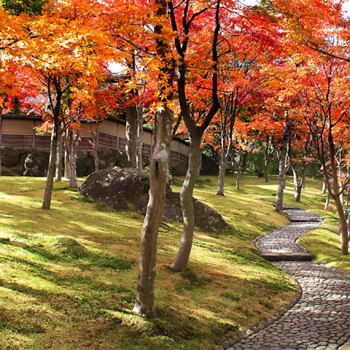 Shinsenkyo - Hakone, Giappone