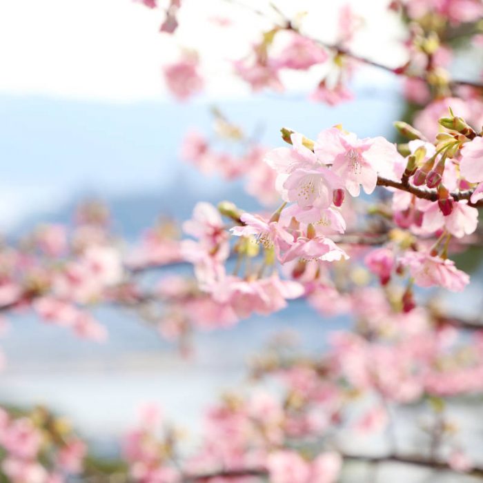 Zuiunkyo - Atami, Giappone