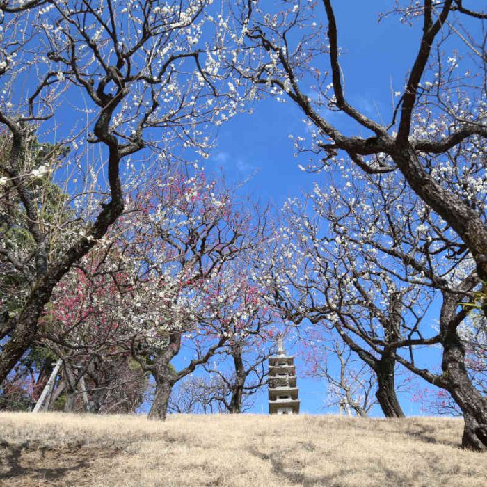 Zuiunkyo - Atami, Giappone