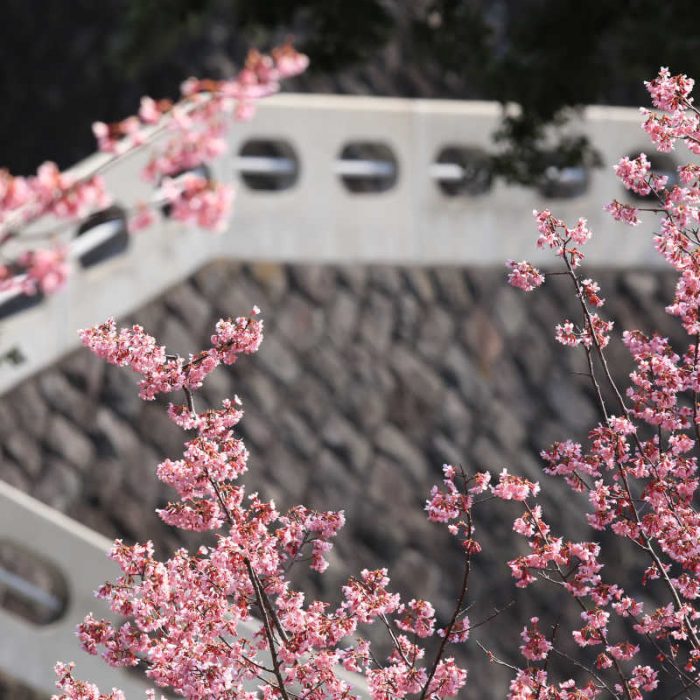 Zuiunkyo - Atami, Giappone