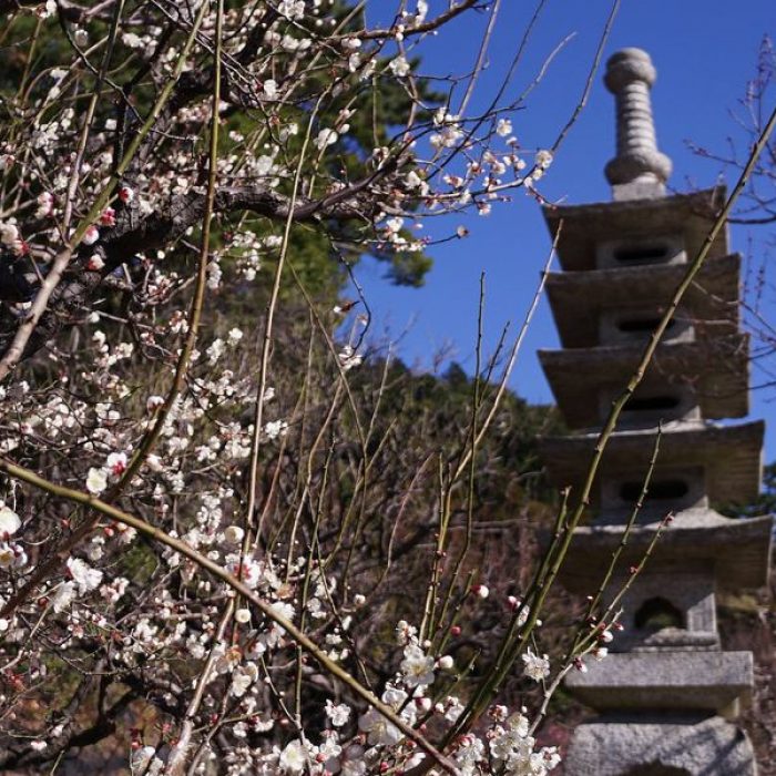 Zuiunkyo - Atami, Giappone